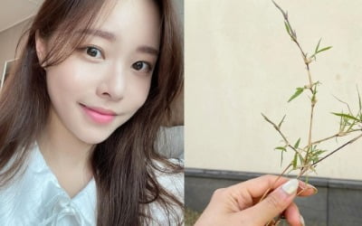 '박성광♥' 이솔이, 어쩌다 이웃에 민폐 "어쩌지" [TEN★]