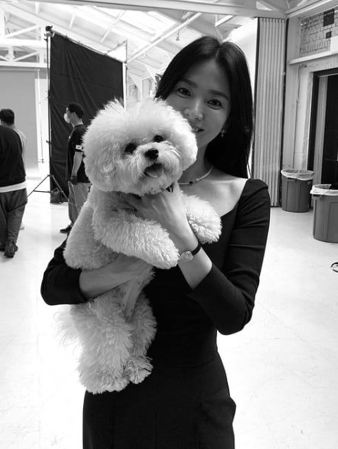 송혜교, 끝도 없는 커피차 행렬...클라스가 남달라[TEN★]