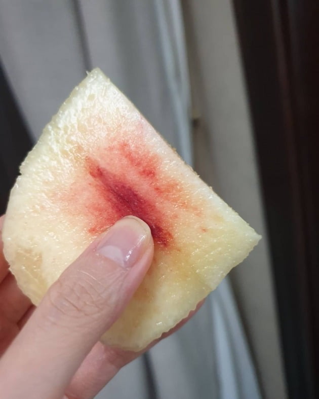 사진=정시아 인스타그램