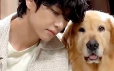 '달려라 방탄' 방탄소년단 뷔, 동물과도 뛰어난 교감 능력…존중+배려 아이콘