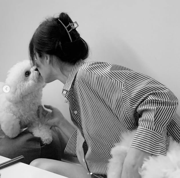 송혜교, 반할 수 밖에 없는 아름다움...반려견과 뽀뽀타임[TEN★]