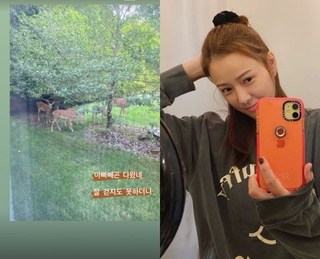 사진=손태영 인스타그램