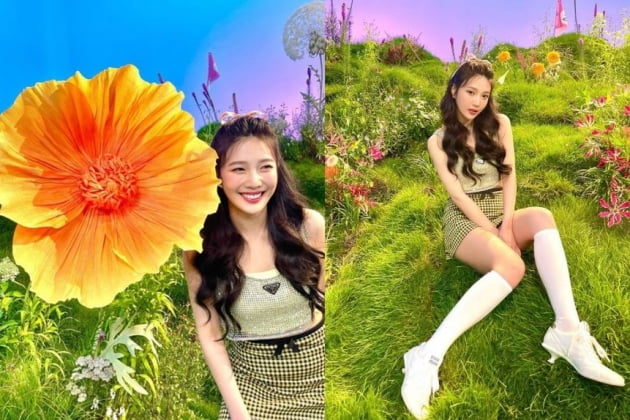 /사진=조이 인스타그램