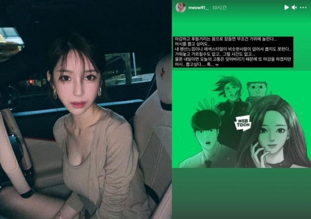 /사진=야옹이 작가 인스타그램