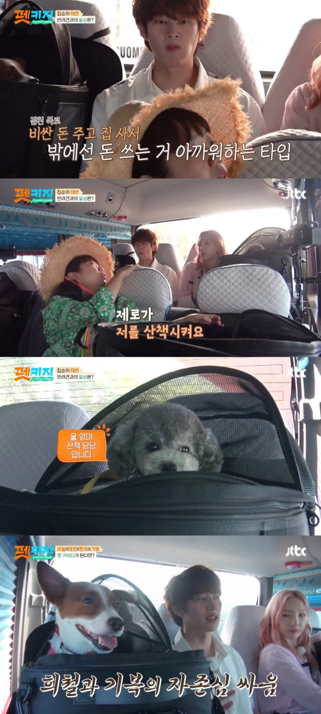 /사진='개취존중 여행배틀 - 펫키지' 방송화면