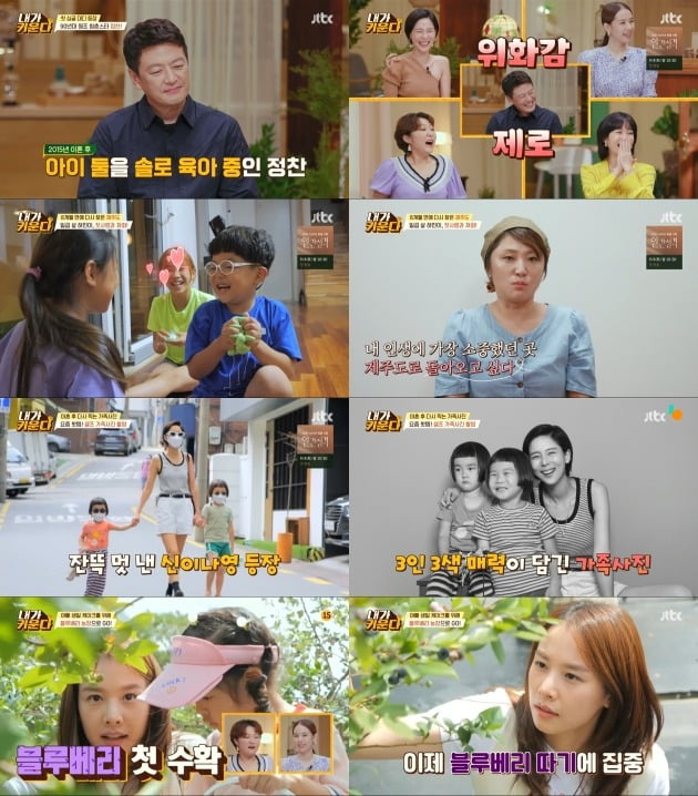 사진=JTBC '내가 키운다' 방송 화면.