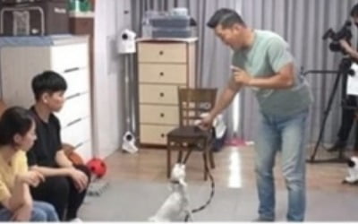 '개훌륭' 강형욱, 입질 임보견 행동교정 나선다