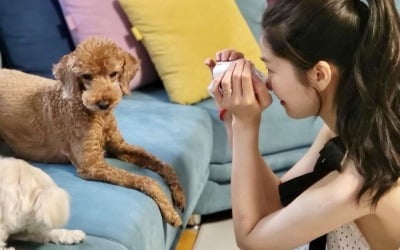 '전진♥' 류이서, 10억대 아파트 정원 '찰칵'…1천만원대 소파에서 반려견은 모델 포즈 [TEN★]