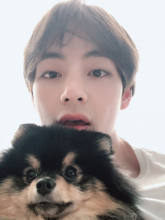 방탄소년단 뷔./