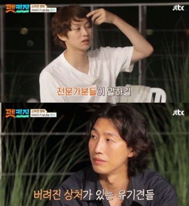 /사진=JTBC '개취존중 여행배틀 - 펫키지' 방송화면