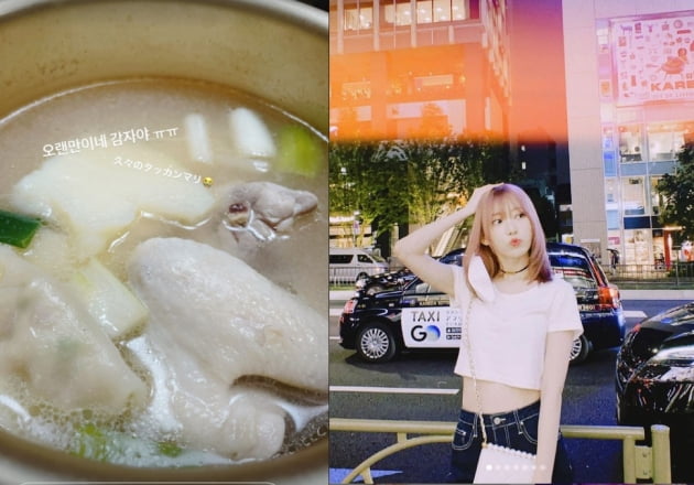 미야와키 사쿠라, 계약도 식후경?...한국에서 먹방으로 소식전해[TEN★]