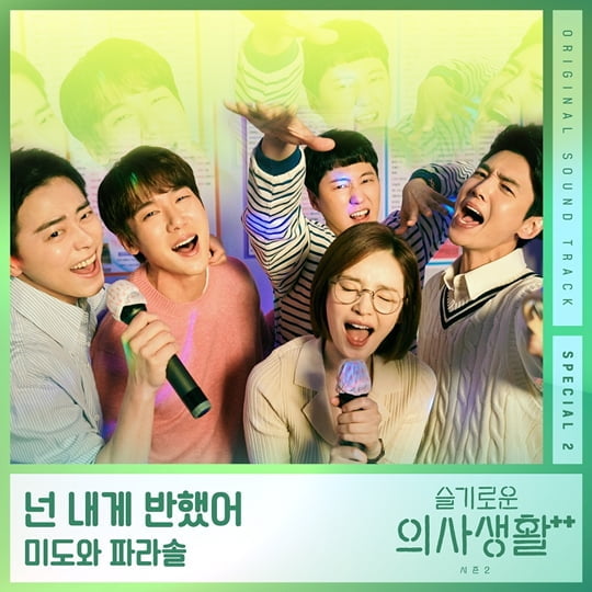 슬기로운 의사생활 시즌2 (사진=스튜디오 마음C)