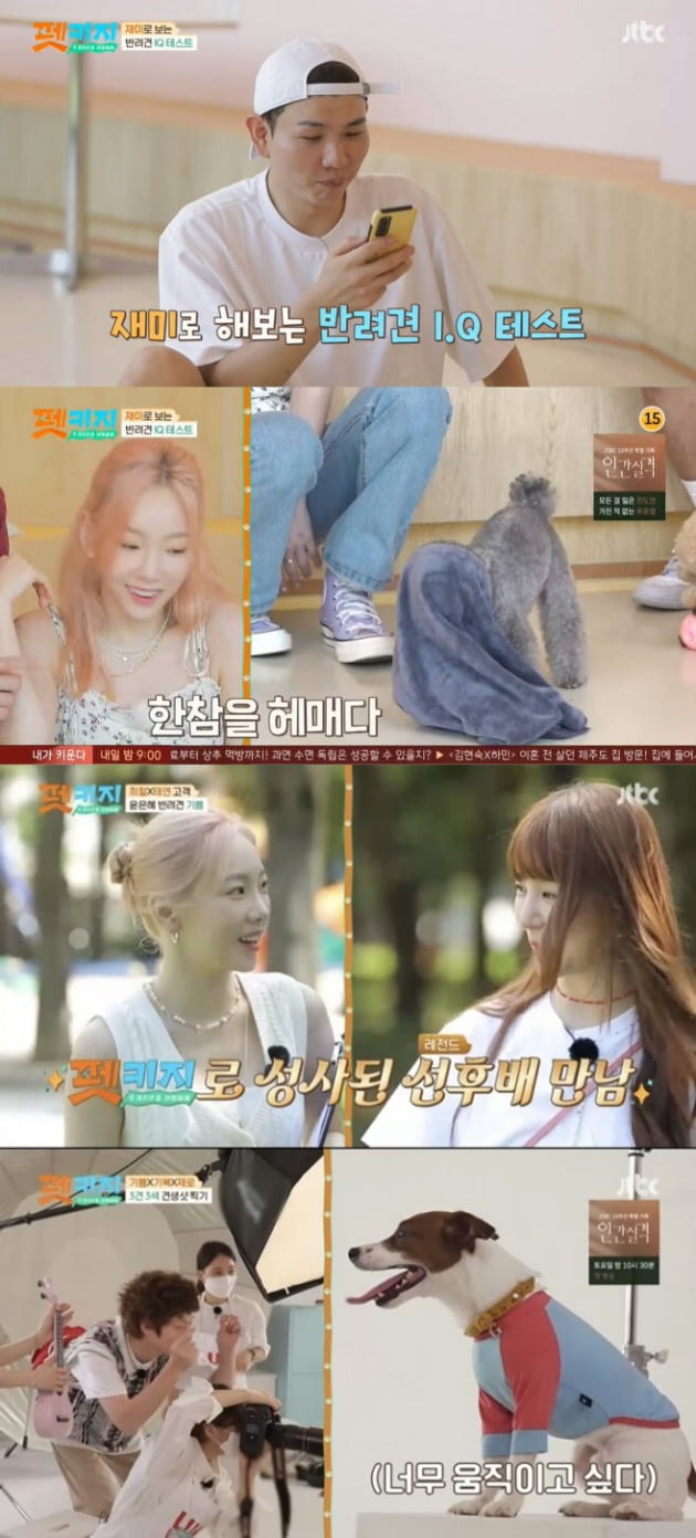 사진=JTBC '펫키지' 방송 화면.