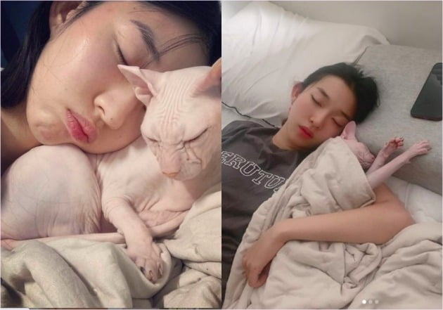 사진=최고블린 인스타그램