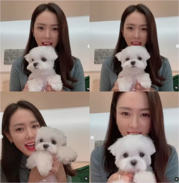사진=손에진 인스타그램 영상 캡처