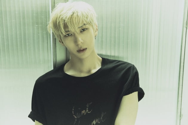 사진제공=젤리피쉬