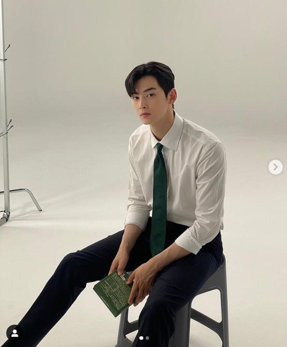 차은우, 사람 얼굴이 아니다...내 미래의 남자친구?[TEN★]