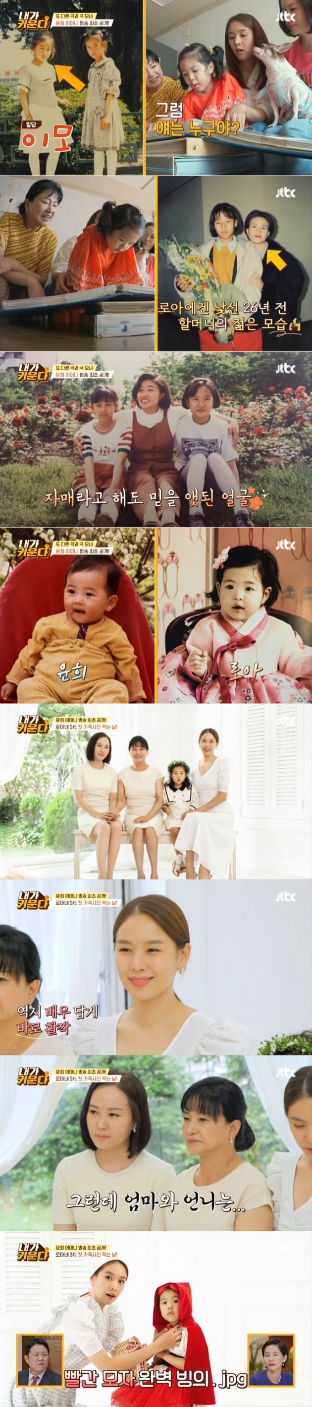 사진=JTBC '내가 키운다' 영상 캡처