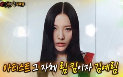 투개월 김예림, 7년 만에 방송출연 "림 킴, 음악적 부캐" ('복면가왕')