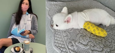'차세찌♥' 한채아에 이어 반려견도 깁스…"우리 둘 왜 이래" [TEN★]