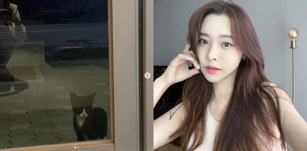 ‘박성광♥’ 이솔이, 길고양이도 귀한 손님...모든 생명이 다 소중해[TEN★]