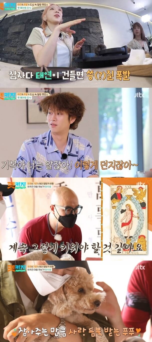 사진=JTBC '펫키지' 방송 화면.