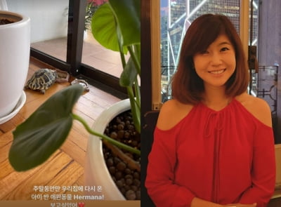 '금융맨♥' 강수정, 홍콩 부촌 거주민은 반려동물도 남다르네 "보고 싶었어" [TEN★]