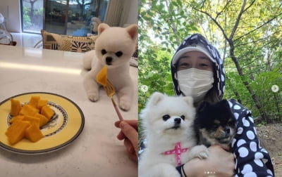 '쌍둥이 임신' 성유리, 밍뚜와 즐거운 시간...영양가 높은 망고 섭취중[TEN★]