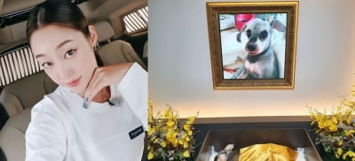 최여진, 무지개다리 건넌 반려견에 "우리 딸 사랑해" [TEN★]