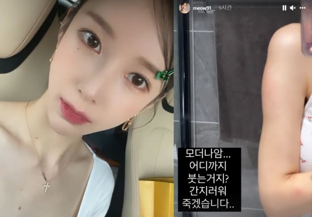 /사진=야옹이 작가 인스타그램