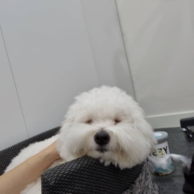 '주진모♥' 민혜연, '아들'과 같이 출근 "산책 2번 하고 탕비실에서 졸아" [TEN★]