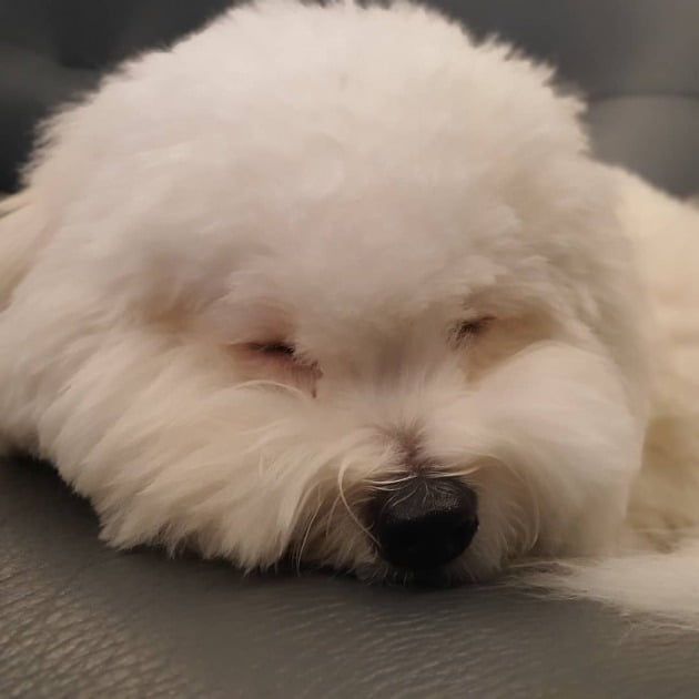 사진=민혜연 인스타그램