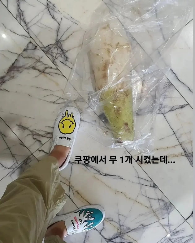 '53억 아파트 거주' 김지혜, 김장철도 아닌데 무 18kg 주문 실수에 헛웃음 "참내"[TEN★]