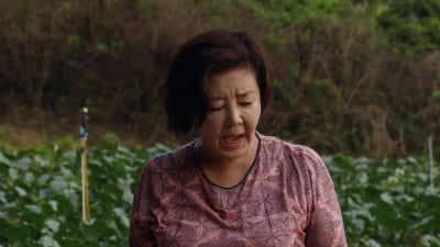 김영란, 방송 최초 아들 공개?…혜은이X김영란, '깜짝' ('같이 삽시다')