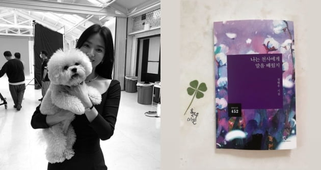 송혜교, 가을은 독서의 계절...시 한편 어떠세요~[TEN★]