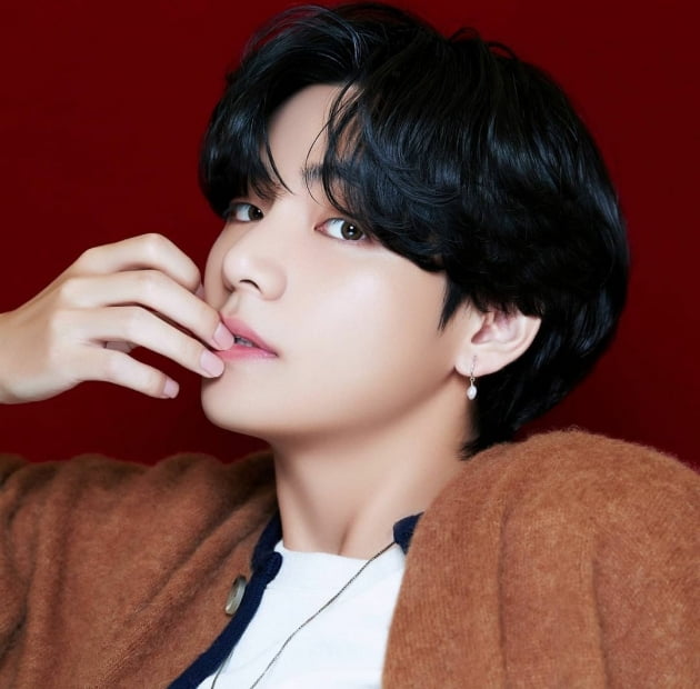'방탄소년단 뷔의 애독서' 인도네시아어로 출간..韓·日 베스트 셀러 등극 이어 막강한 "뷔이펙트"