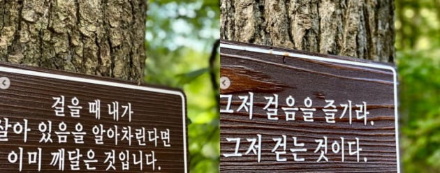 사진=김혜수 인스타그램