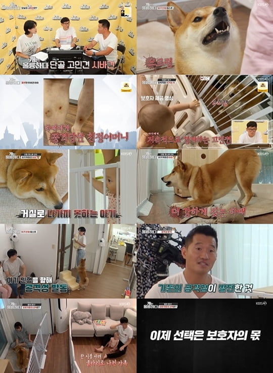 개훌륭 (사진=방송캡처)