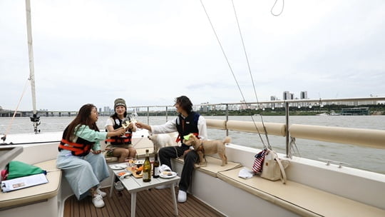 펫키지 (사진=JTBC)