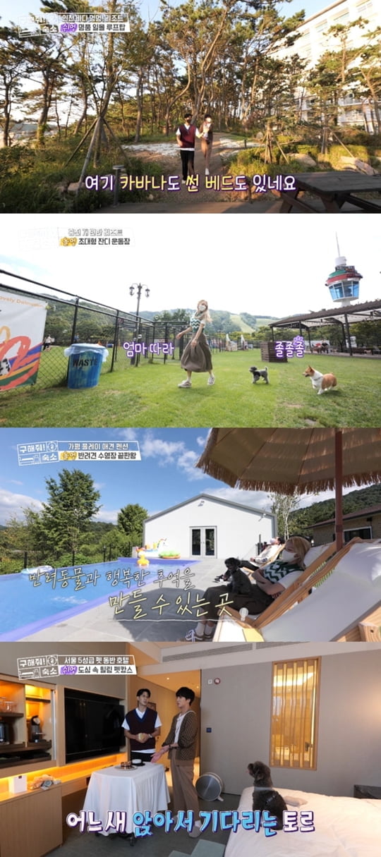 구해줘! 숙소 (사진=MBC)