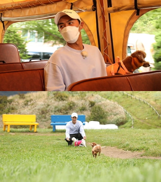 펫키지 (사진=JTBC)