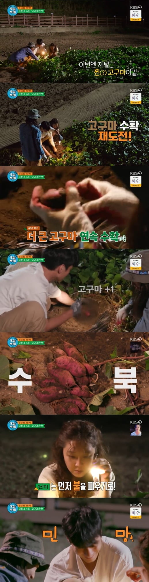'오늘부터 무해하게'(사진=방송 화면 캡처)