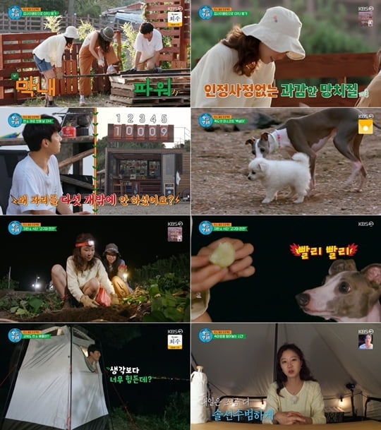오늘부터 무해하게 (사진=방송캡처)