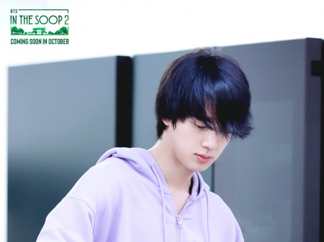 '솔드 아웃 킹' 방탄소년단 진, 인더숲 티저 후드 품절 대란