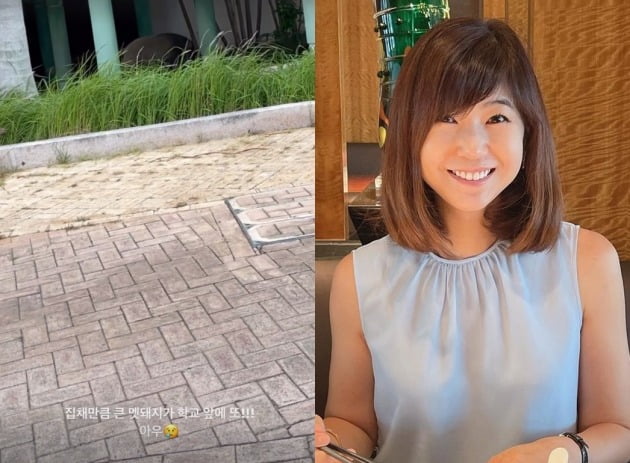 사진=강수정 인스타그램