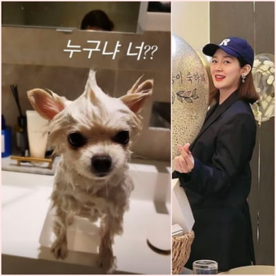 '쌍둥이 임신中' 성유리, 반려견 케어 살뜰…"누구냐 너?" [TEN★]