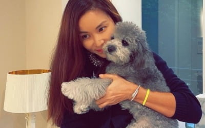 '163억 한강뷰 거주' 고소영 "예쁜 집으로 이사했어요"…행복 기원하며 인증샷 [TEN★]