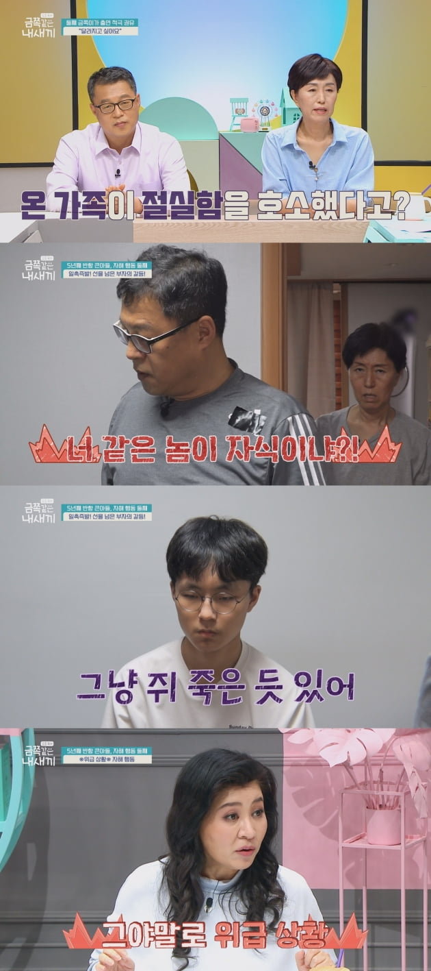 '금쪽같은 내새끼' 69회/ 사진=채널A 제공