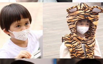 윌리엄, 바가지 머리 안녕…'해밍턴즈' 호랑이 가족 변신 ('슈돌')