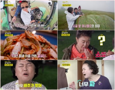 박원숙, 강부자에게 사과…"기분 언짢았죠?" ('같이삽시다')[종합]